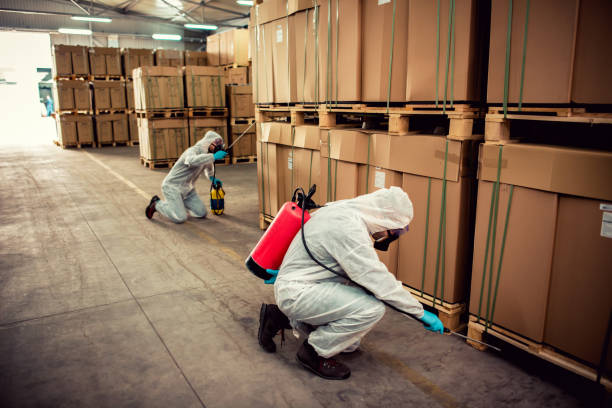 Best Rat Extermination Near Me  in Maplewood, MN