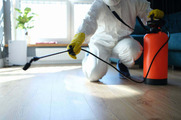 Flea Control Services in Maplewood, MN