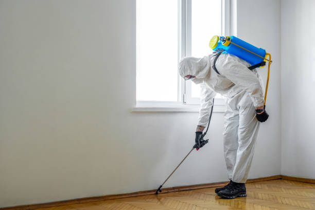 Best Wildlife Control Services  in Maplewood, MN