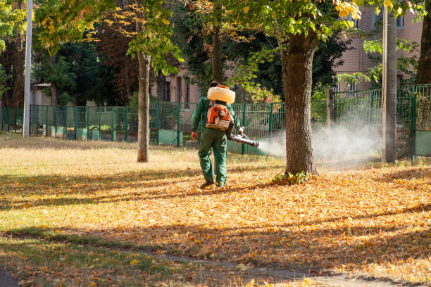 Best Cockroach Control Services  in Maplewood, MN