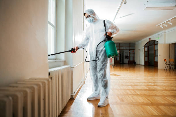 Best Rat Extermination Near Me  in Maplewood, MN